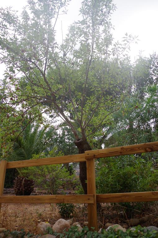 Villa Bonu Torre delle Stelle Ngoại thất bức ảnh